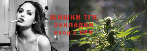бошки Алексин