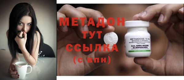 стаф Алзамай