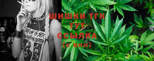 стаф Алзамай