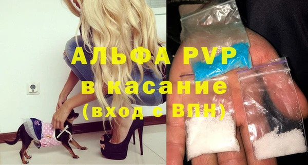 стаф Алзамай