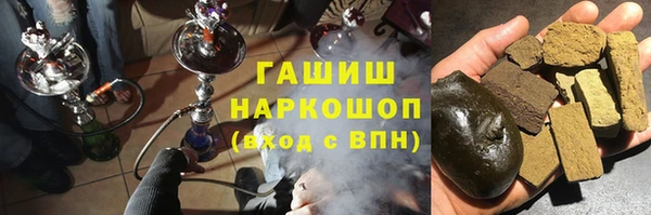 стаф Алзамай