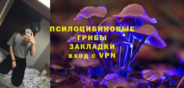 бошки Алексин