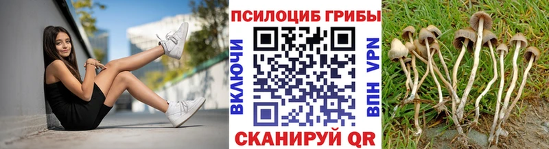 Галлюциногенные грибы мицелий  Курчалой 